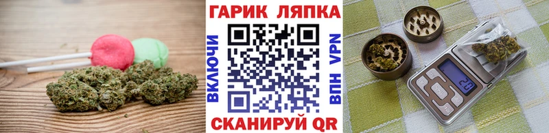 Cannafood марихуана  купить закладку  Котлас 