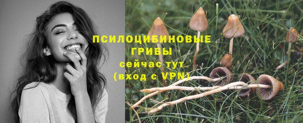 кокаин премиум Богданович